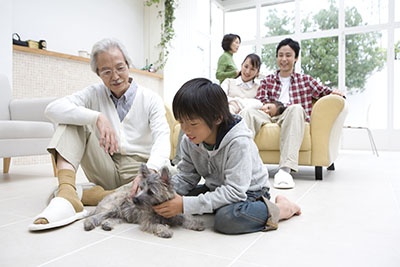 調湿・悪臭の分解